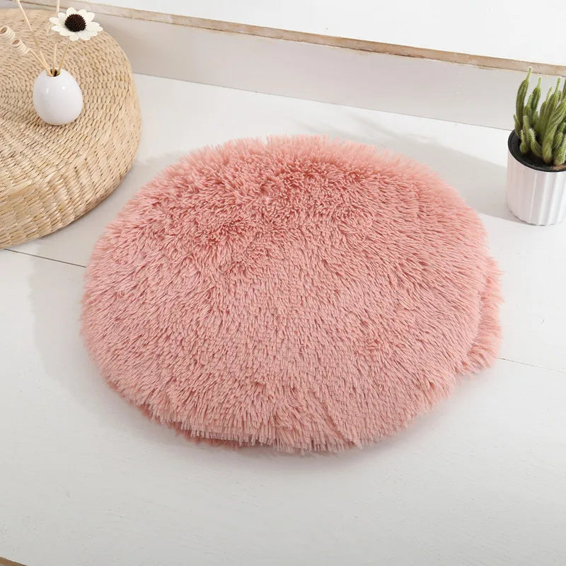 Coussin pour Chat Révolutionnaire