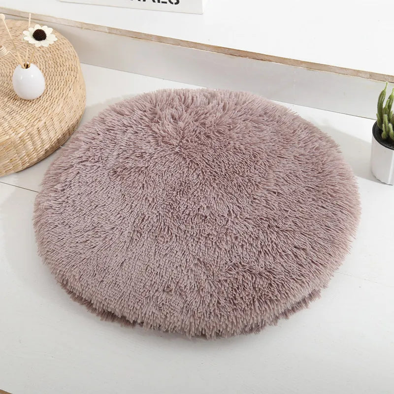 Coussin pour Chat Révolutionnaire