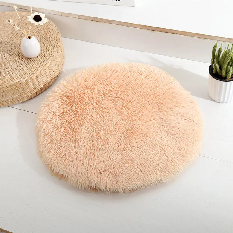 Coussin pour Chat Révolutionnaire