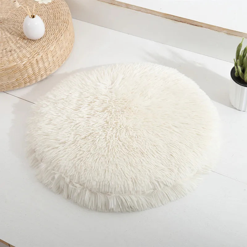 Coussin pour Chat Révolutionnaire