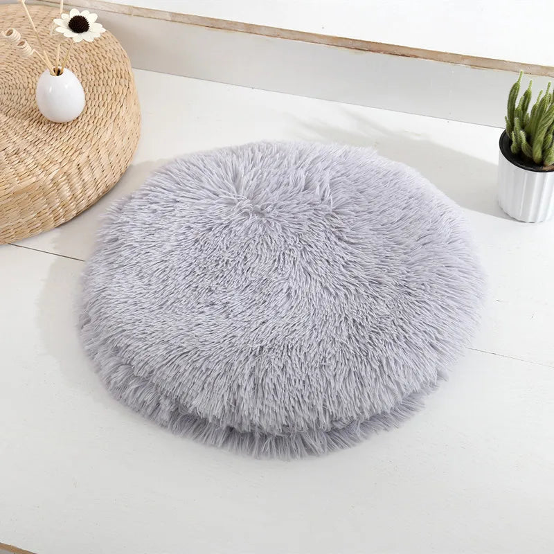 Coussin pour Chat Révolutionnaire