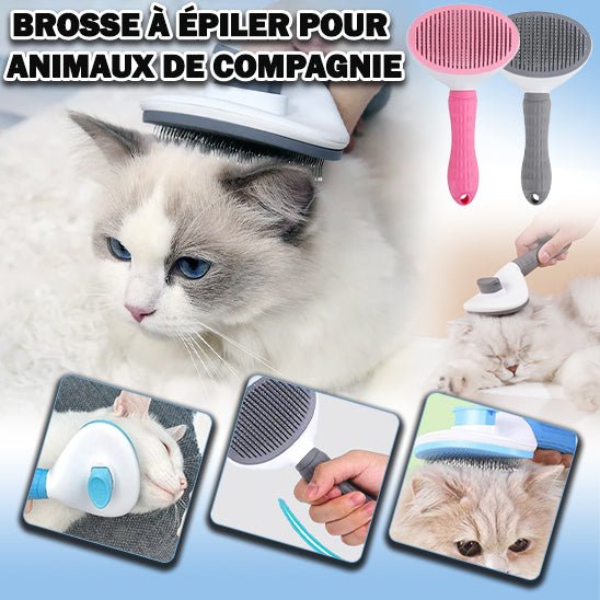 Brosse pour chat autonettoyante - Satisfaction Félin