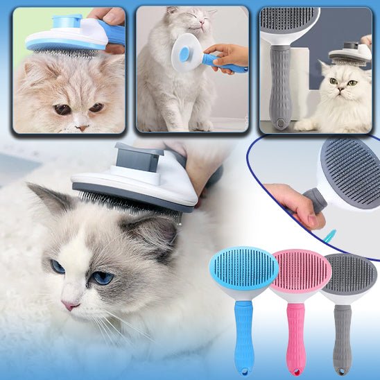 Brosse pour chat autonettoyante - Satisfaction Félin