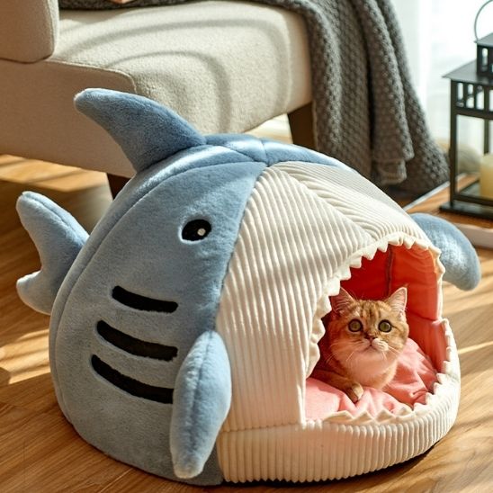 cabane-chat-bouche-requin