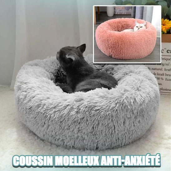 Coussin Chat - Satisfaction Félin