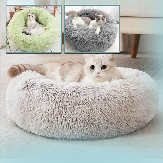 Coussin Chat - Satisfaction Félin