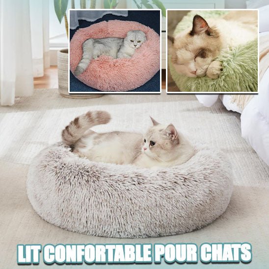 Coussin Chat - Satisfaction Félin