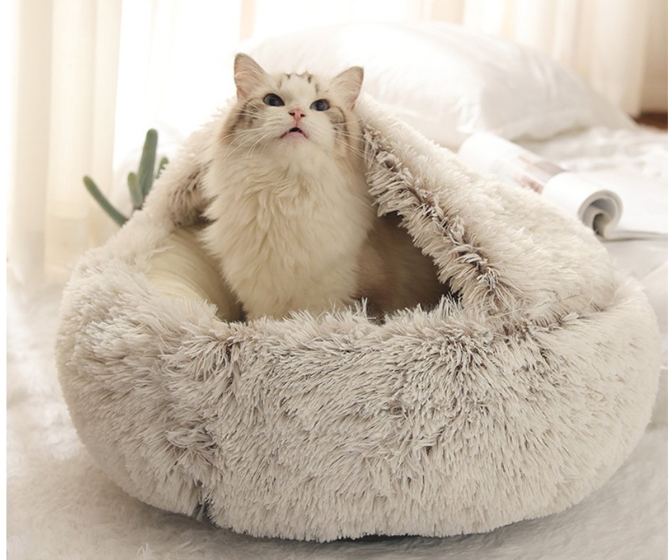 Coussin pour chat Douillet - Satisfaction Félin