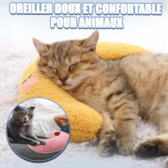 coussin-pourchat-doux