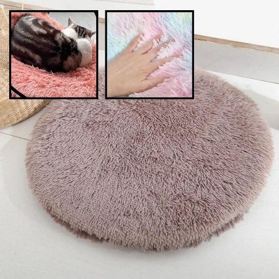 Coussin pour Chat Révolutionnaire