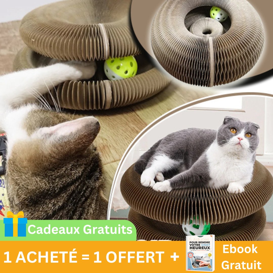 Griffoir pour chat - Satisfaction Félin