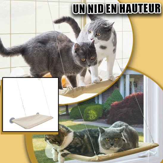 Hamac pour Chat Fenetre - Satisfaction Félin