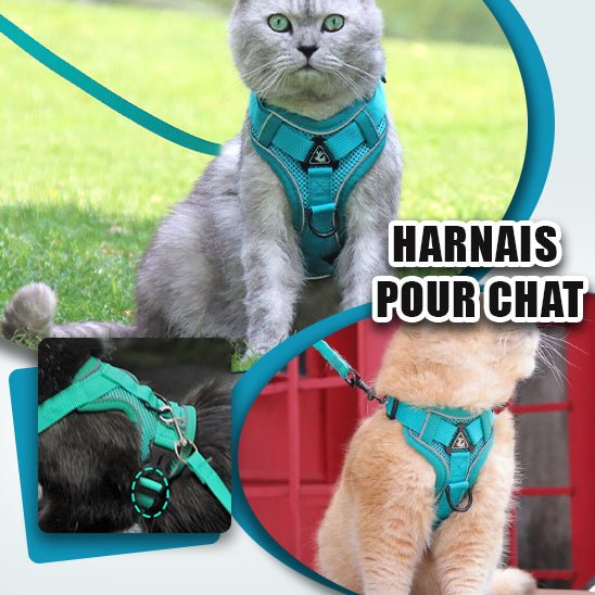 Harnais pour chat - Satisfaction Félin