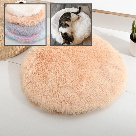 Coussin pour Chat Révolutionnaire