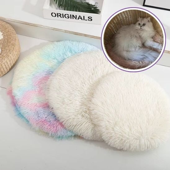 Coussin pour Chat Révolutionnaire