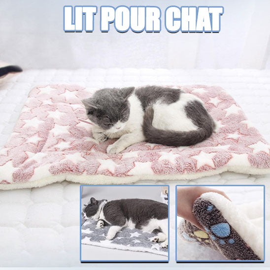 lit-chat-confortable