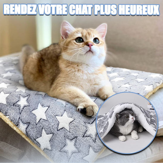 lit-chat-doudou