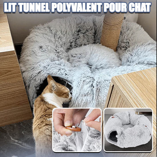 Tunnel Pour Chat