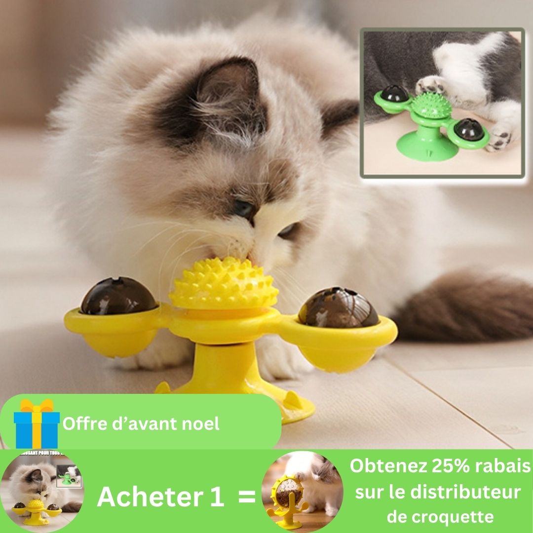 offre-jouet-pour-chat