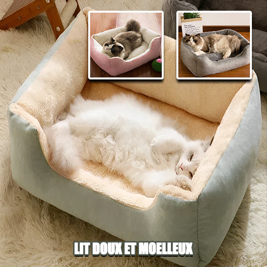 panier-pour-chat