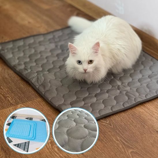 tapis-pour-chat-gris