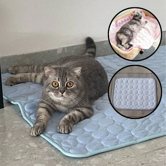 tapis-pour-chat